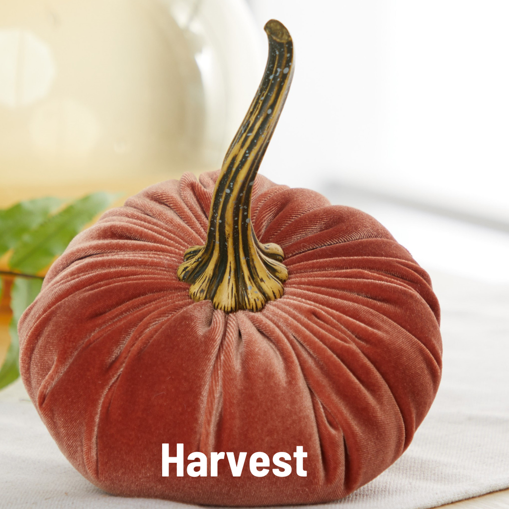 Velvet Pumpkin | Large - Bronze