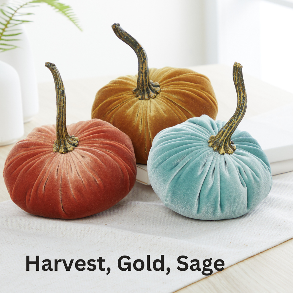 Velvet  Pumpkin | Small - Avocado