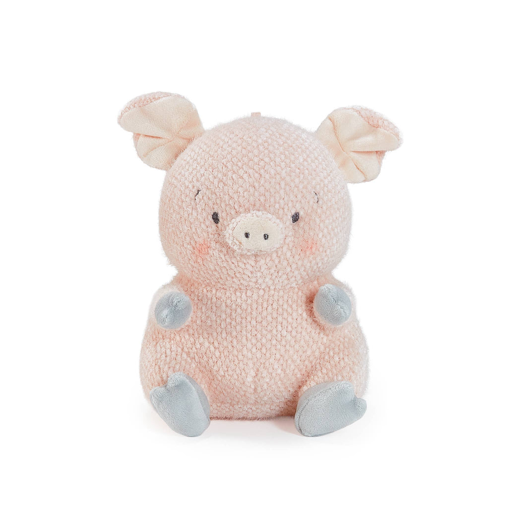 Baby Hammie the Pig