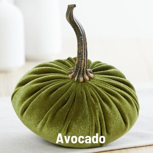 Velvet  Pumpkin | Small - Avocado