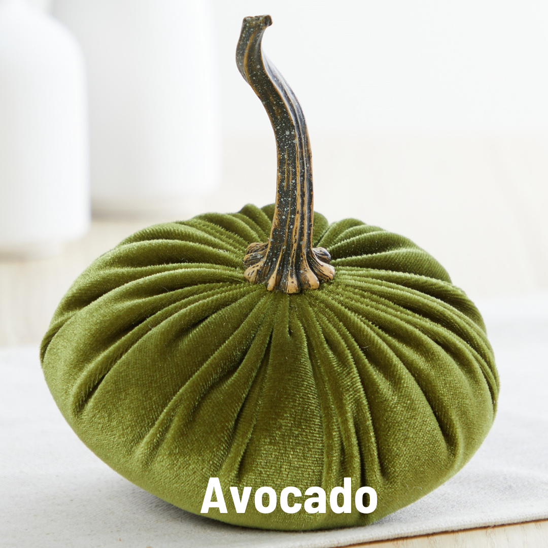Velvet  Pumpkin | Small - Avocado