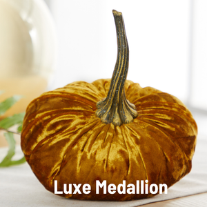 Velvet Pumpkin | Small- Gold