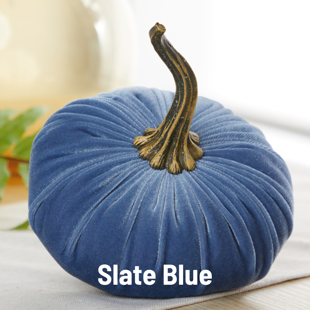 Velvet Pumpkin Large - Harvest