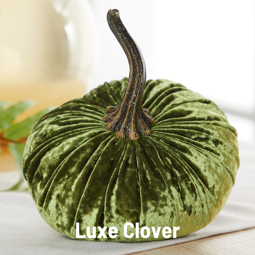Velvet  Pumpkin | Small - Avocado