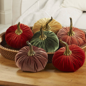 Velvet Pumpkin | Large - Bronze