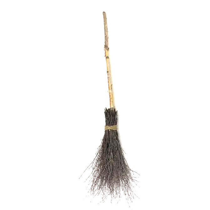 Witch’s Broom