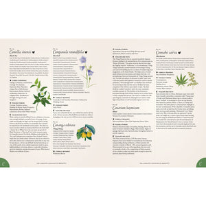 The Complete Language of Herbs