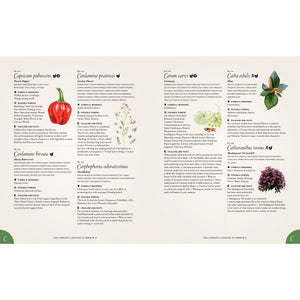 The Complete Language of Herbs