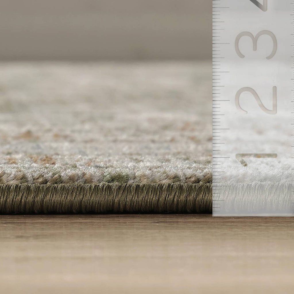 Abani Rugs - Alara Traditional Sage Green Vintage Floral Border Area Rug: 7'9" x 10'