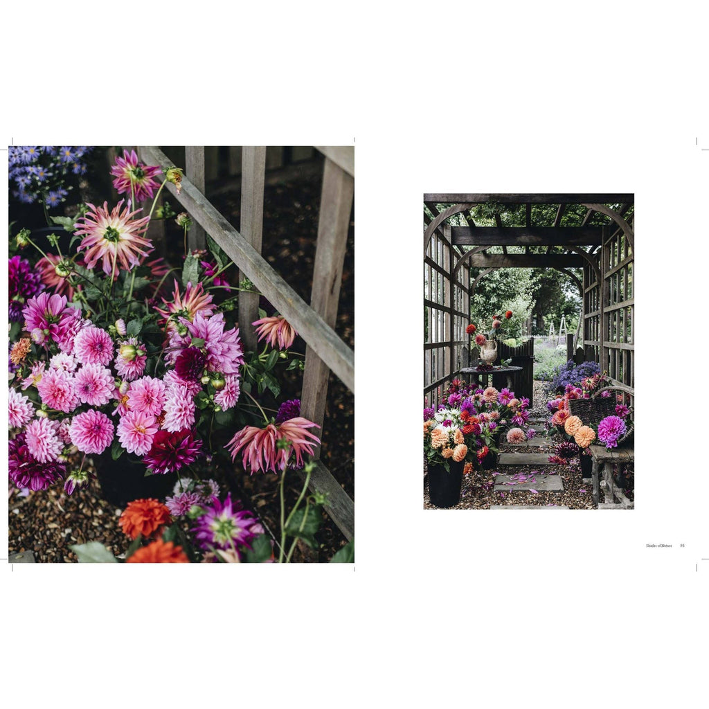 The Nature of Decorating