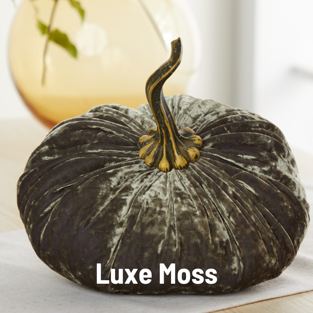 Velvet Pumpkin | Extra Large - Gold