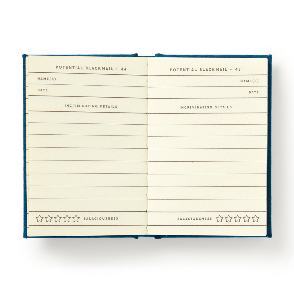 Tiny Diary | Future Blackmail