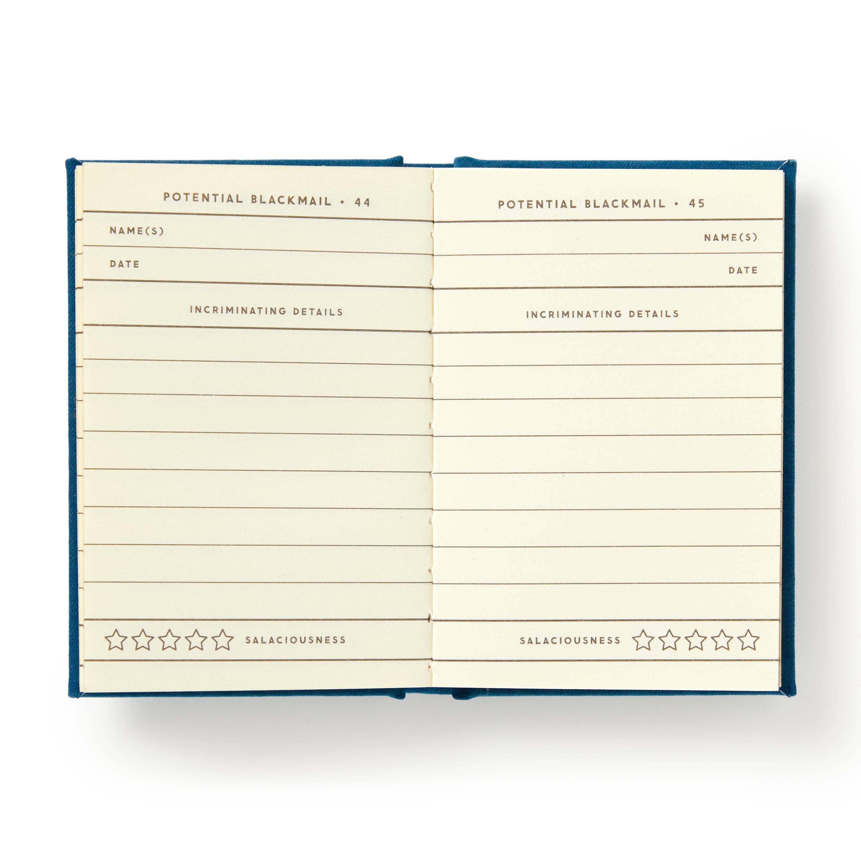 Tiny Diary | Future Blackmail