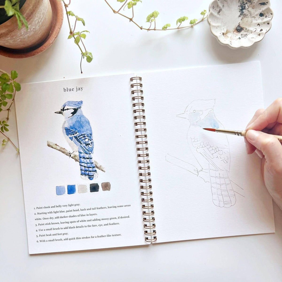 Watercolor Workbook | Birds