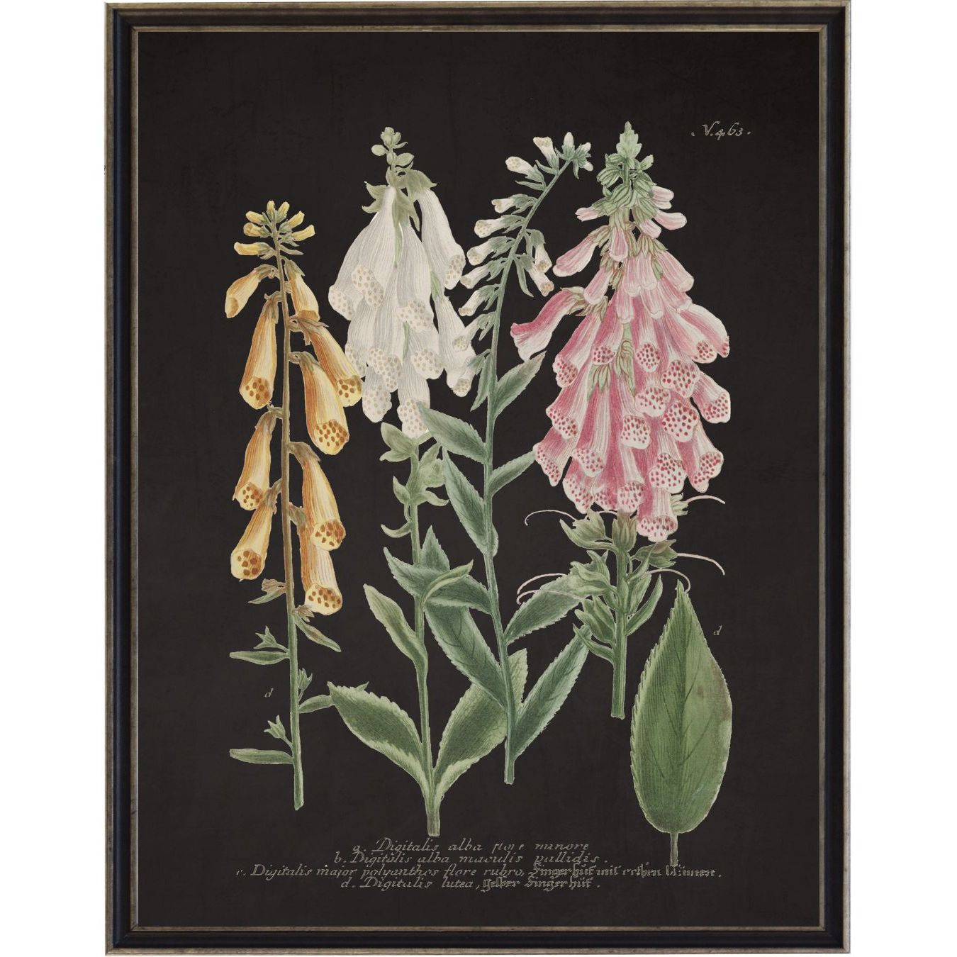 Vintage Flowers Bookplate | 8" x 10"