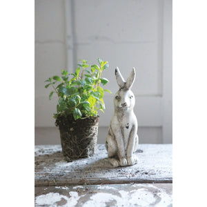 Distressed Cream Color Rabbit