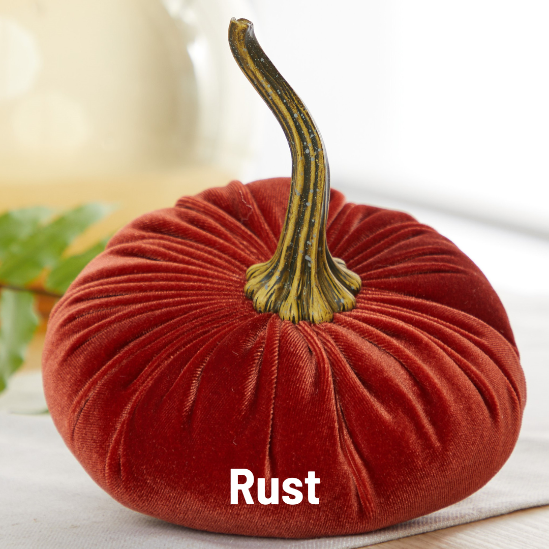 Velvet Pumpkin Large - Harvest