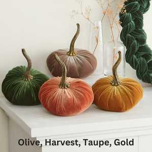 Velvet  Pumpkin | Small - Avocado