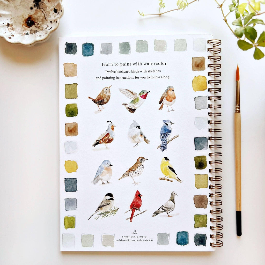 Watercolor Workbook | Birds