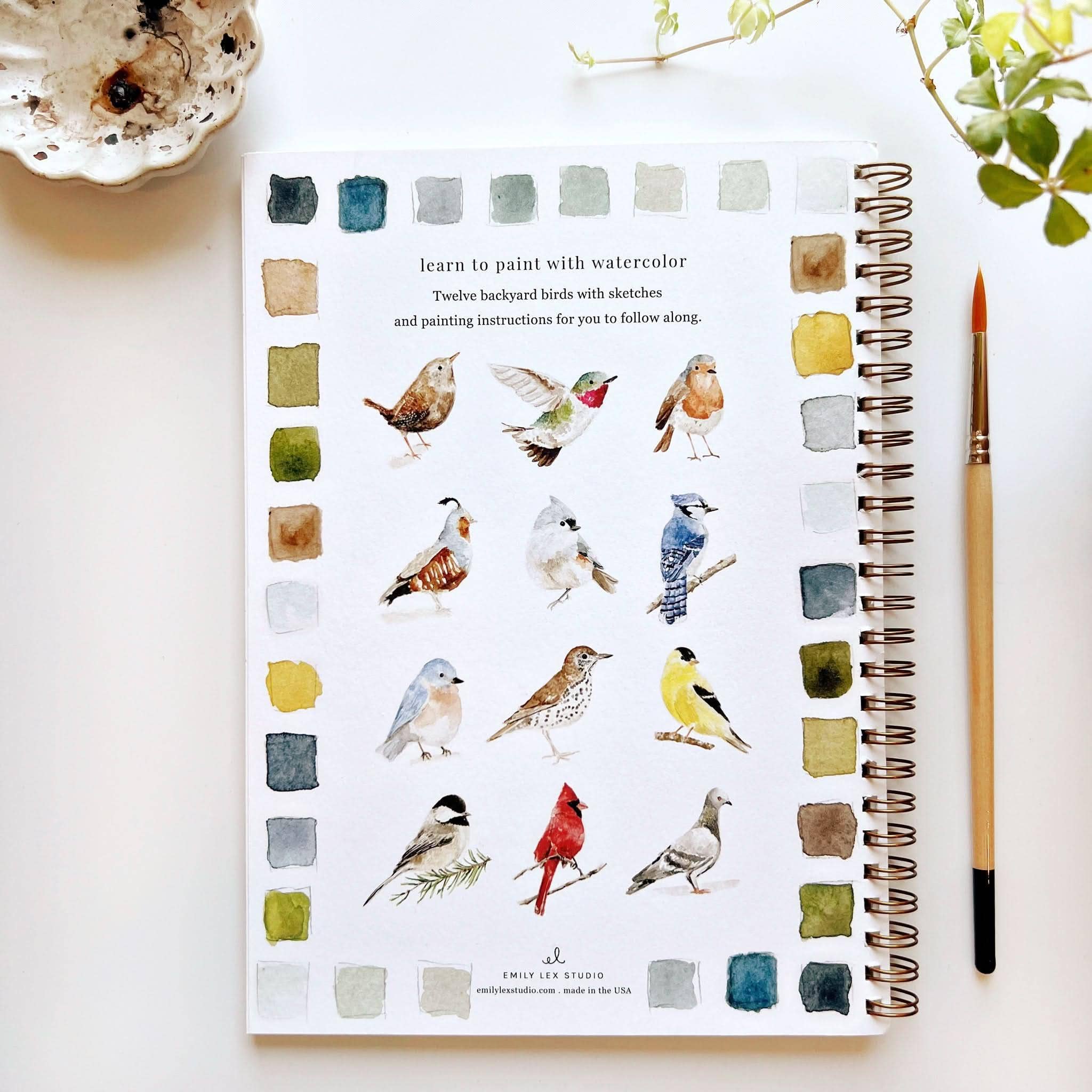 Watercolor Workbook | Birds