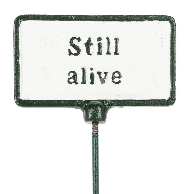 Abbott - Plant Signs-Antique White-5 Assorted-2x3.5"L