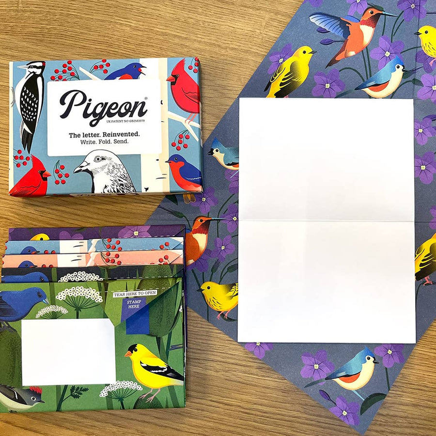 Pigeon Letter Pack | Carnival of Colour