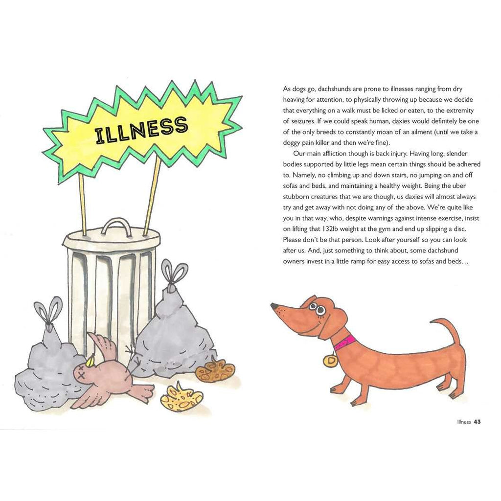 Life Lessons from a Dachshund