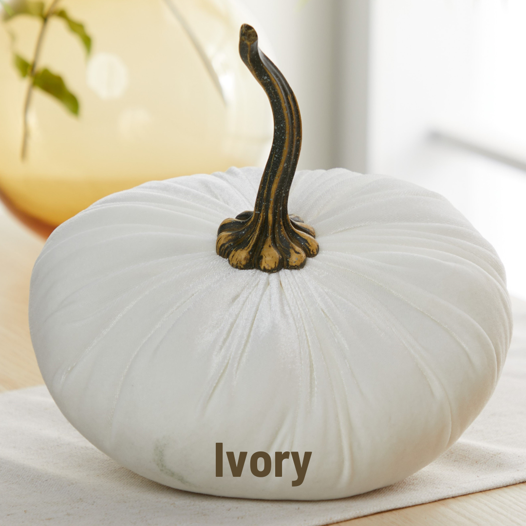 Velvet Pumpkin | Extra Large - Gold