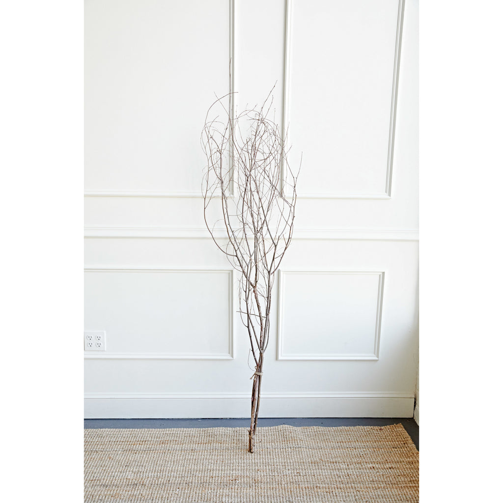 Birch Branch Bundle