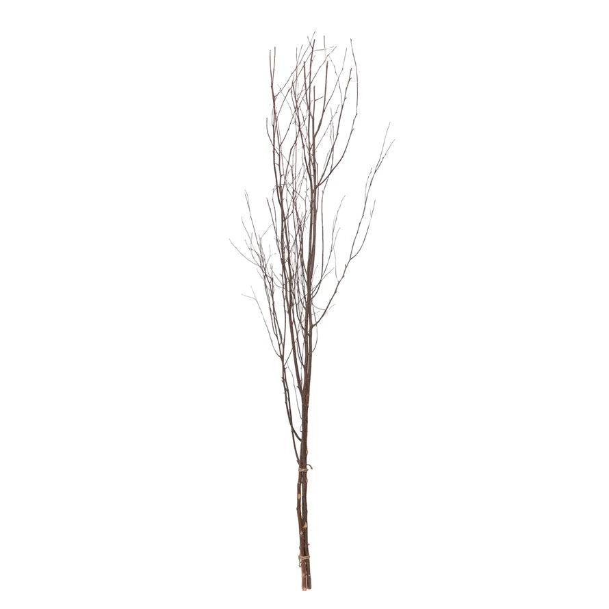 Birch Branch Bundle