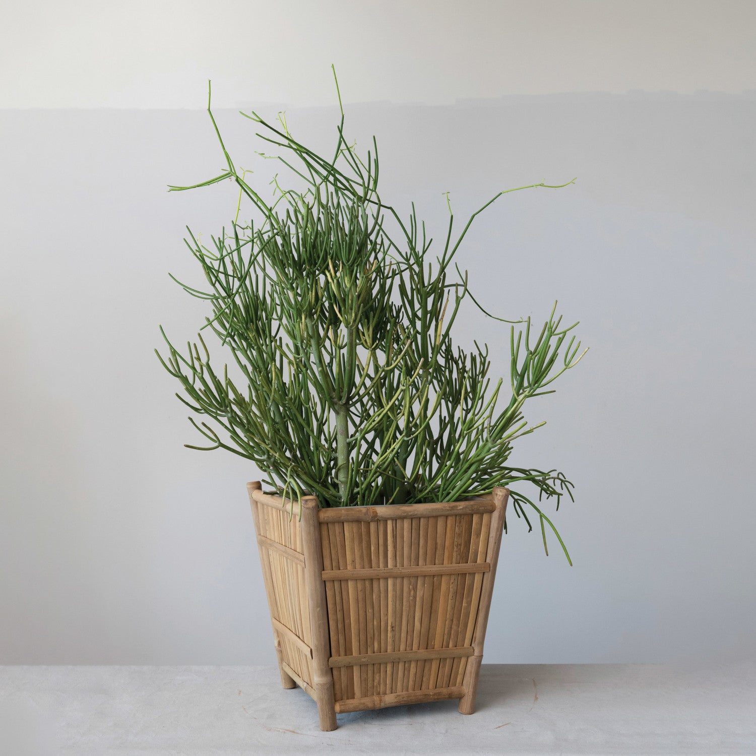 Handmade Bamboo Footed Planter w/Plastic Liner | Natural