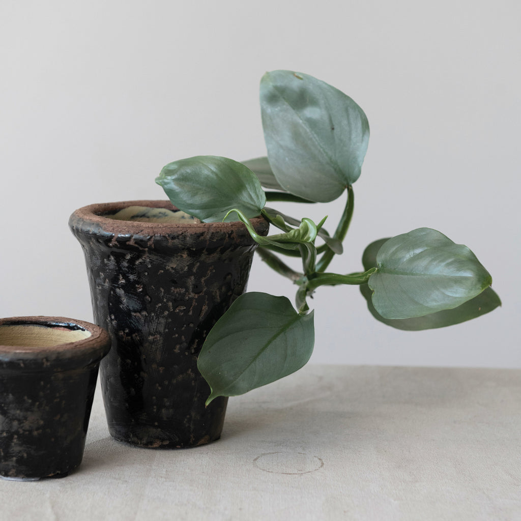 Black Terracotta Planter