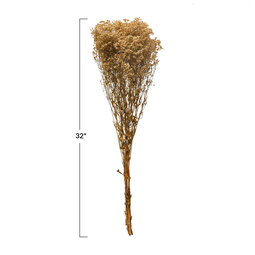 Dried Natural Baby's Breath Bunch