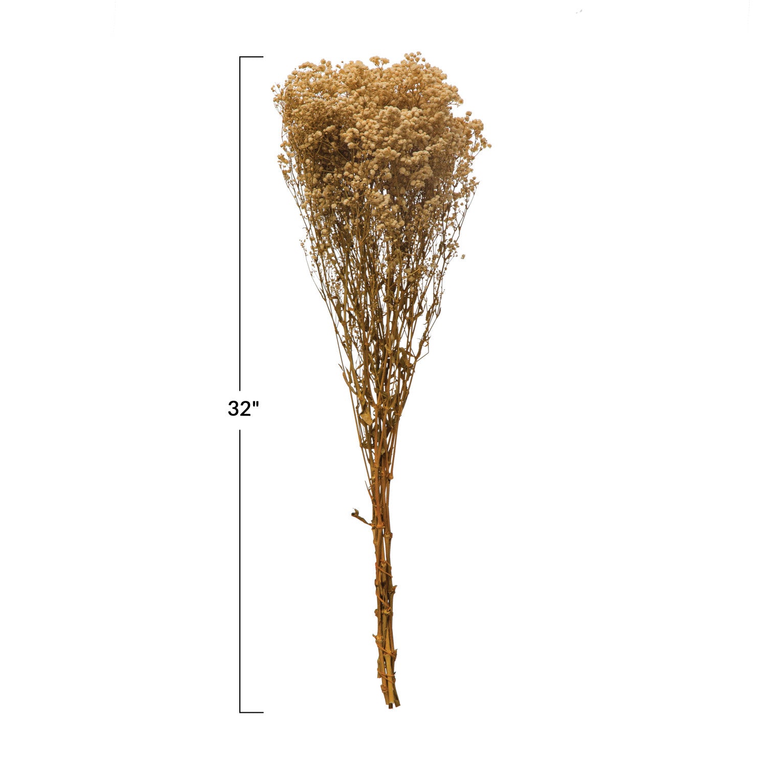 Dried Natural Baby's Breath Bunch