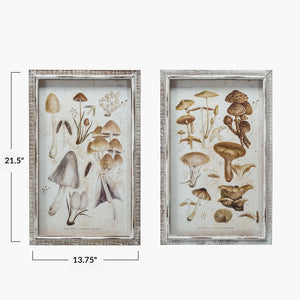 Wood Framed Glass Wall Decor w/ Mushrooms