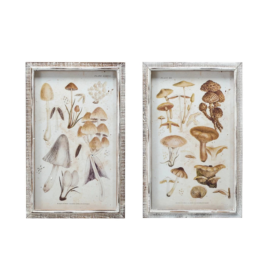 Wood Framed Glass Wall Decor w/Mushrooms