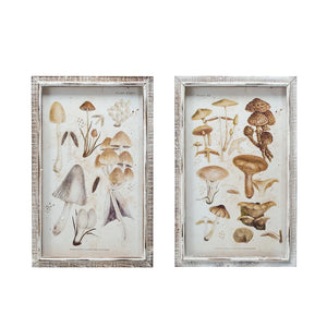 Wood Framed Glass Wall Decor w/ Mushrooms