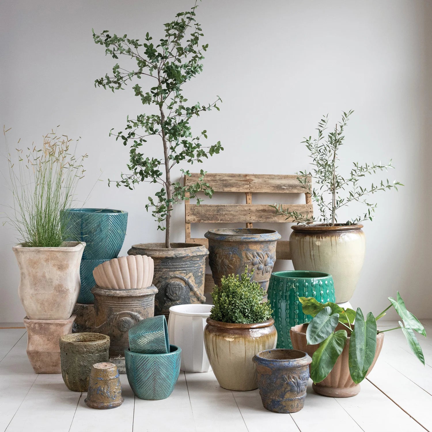 Earthy Terracotta Pot Collection