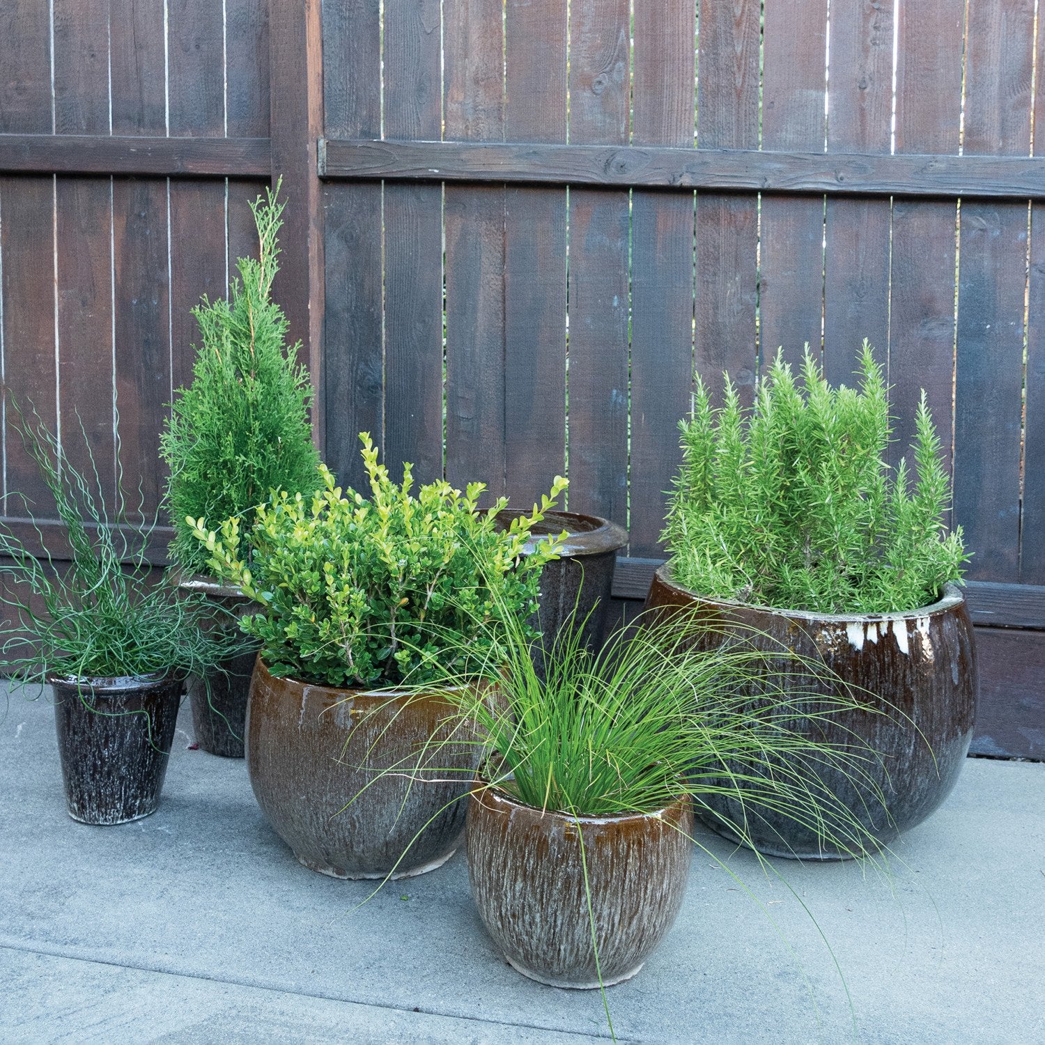 Earthy Terracotta Pot Collection
