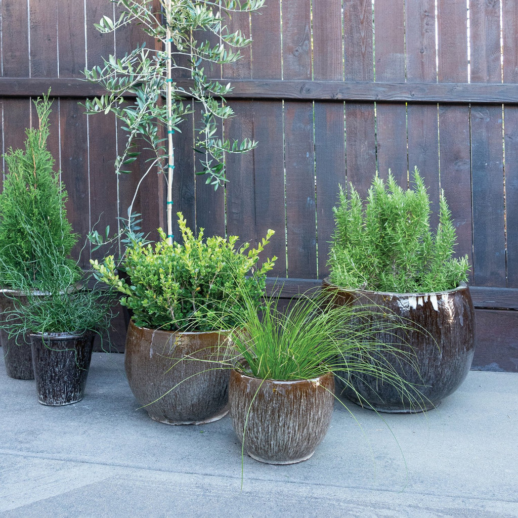 Earthy Terracotta Pot Collection