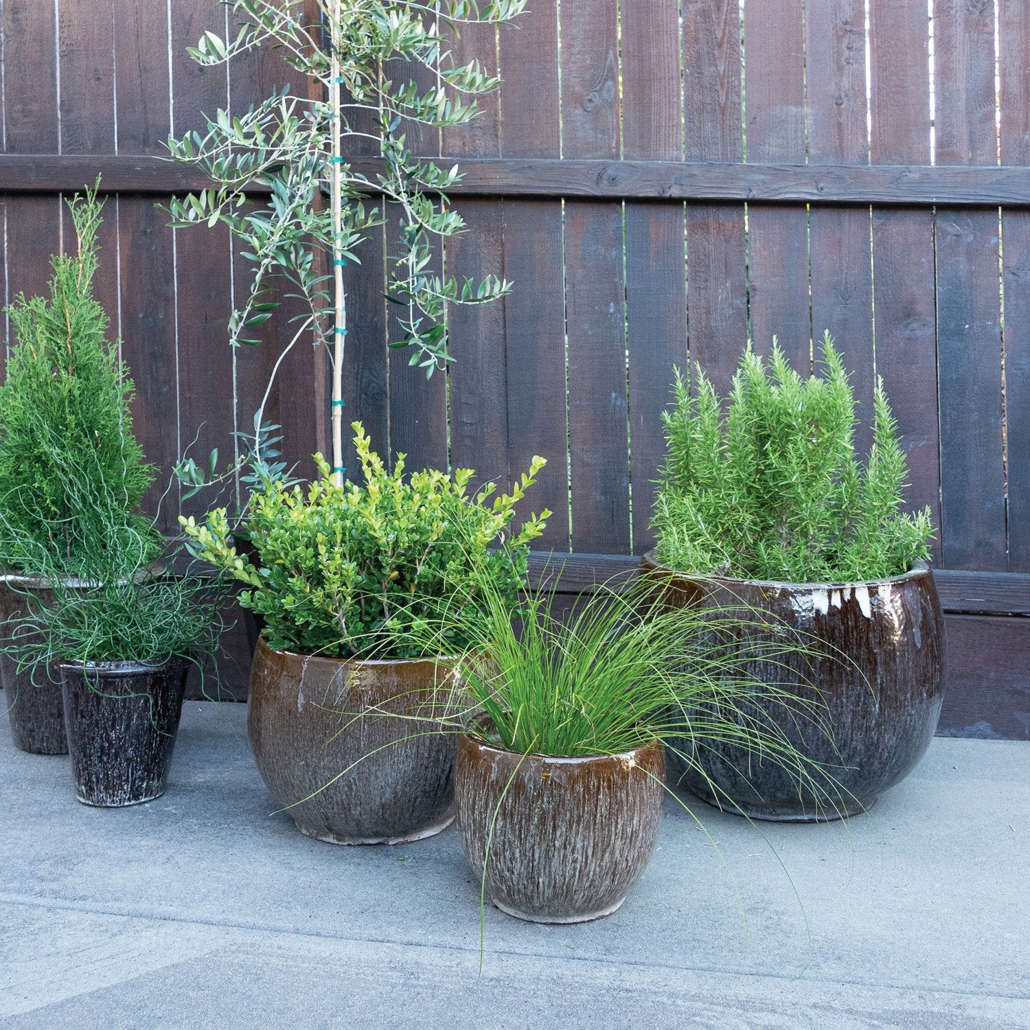 Earthy Terracotta Pot Collection