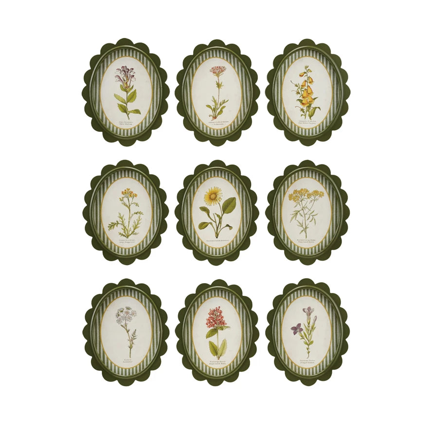 Oval Scalloped Frame Botanical Print
