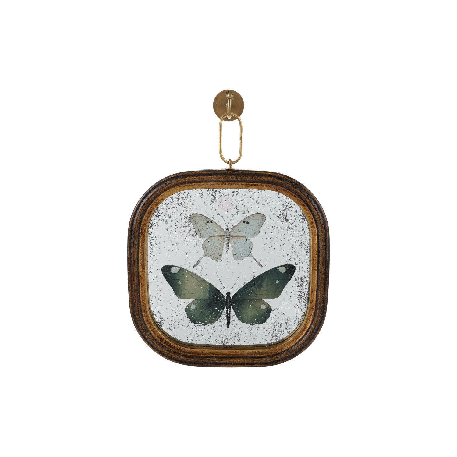 Antique Butterfly Study Mirror with Brass Wall Hook