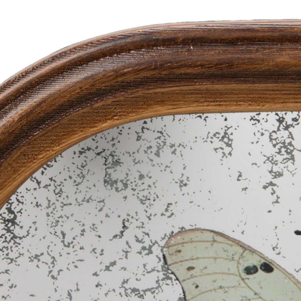 Antique Butterfly Study Mirror with Brass Wall Hook