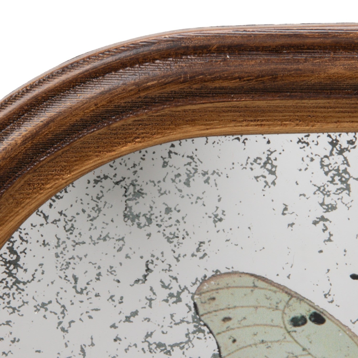 Antique Butterfly Study Mirror with Brass Wall Hook