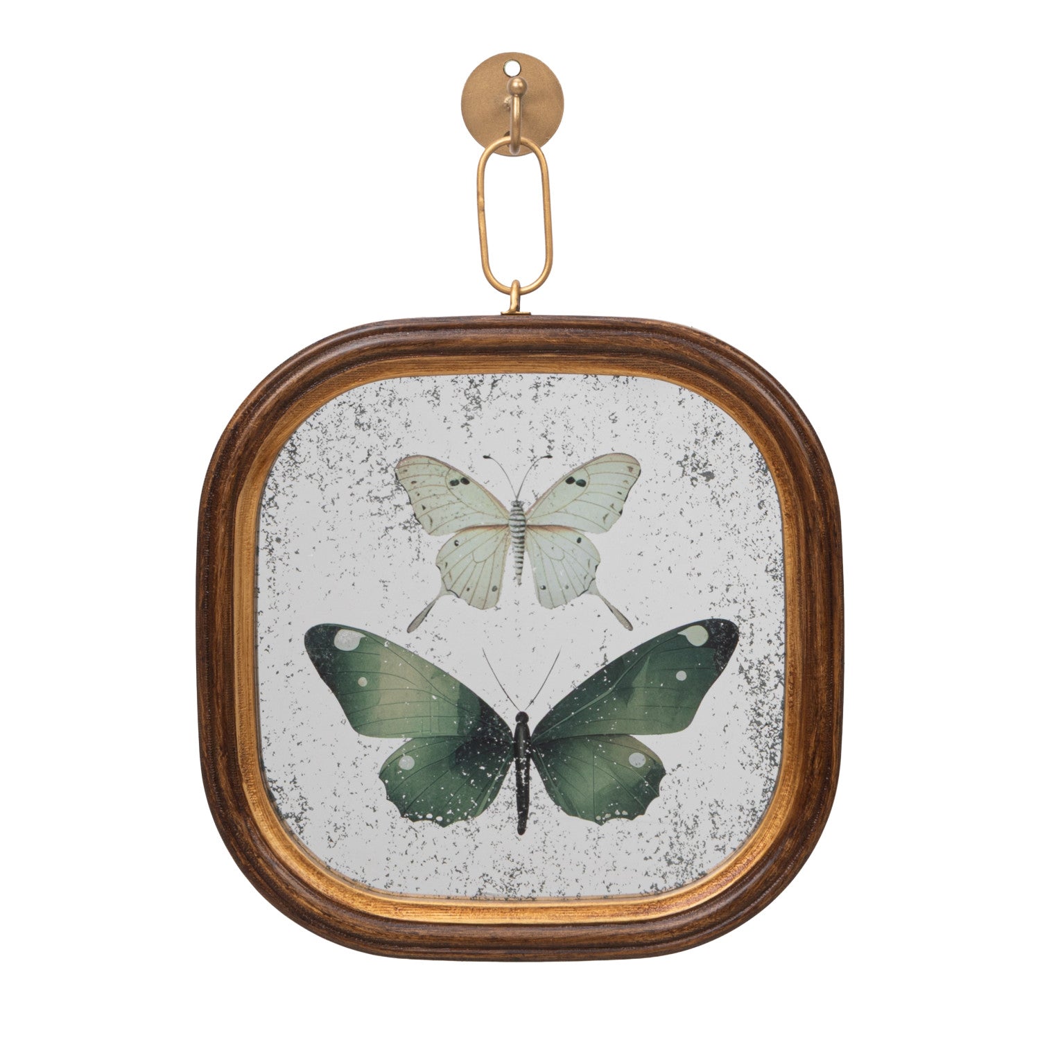 Antique Butterfly Study Mirror with Brass Wall Hook