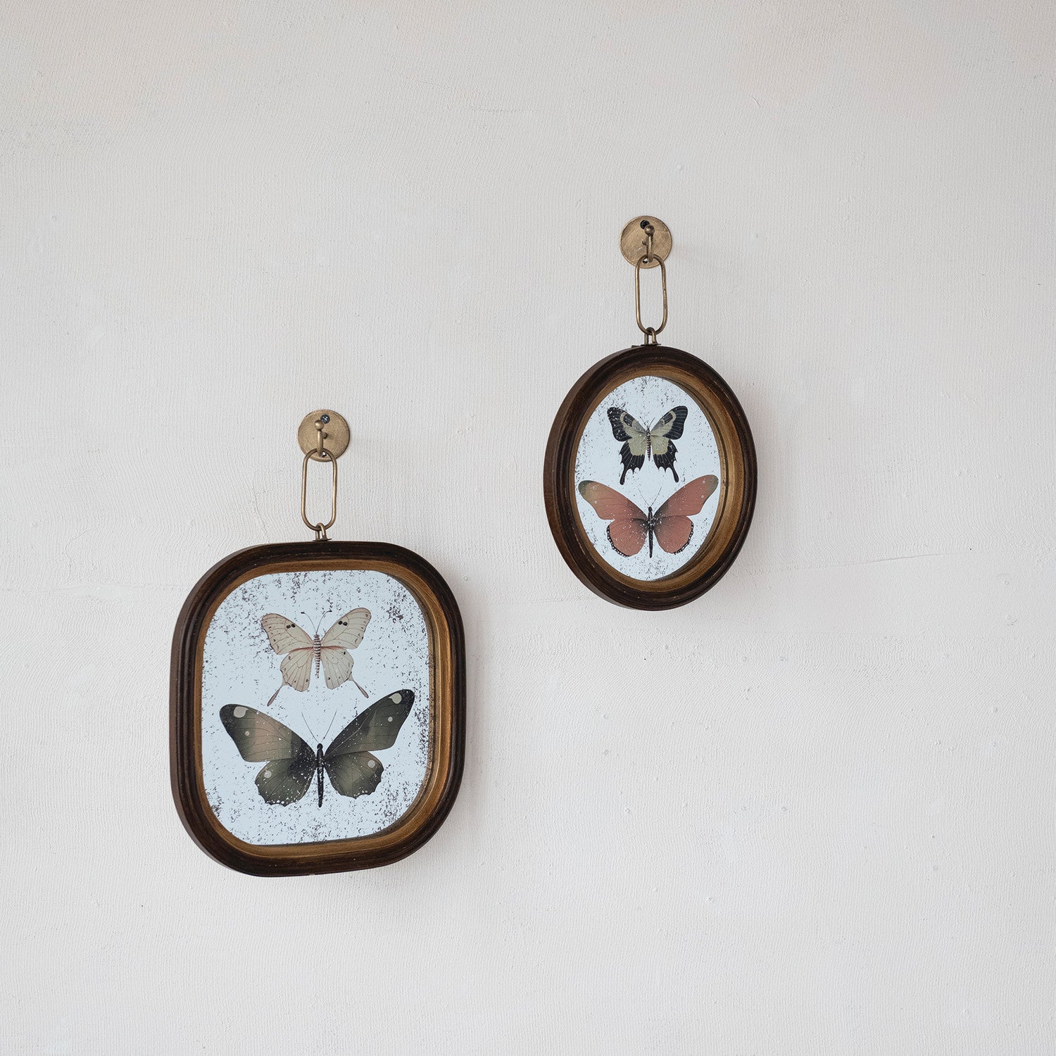 Antique Butterfly Study Mirror with Brass Wall Hook