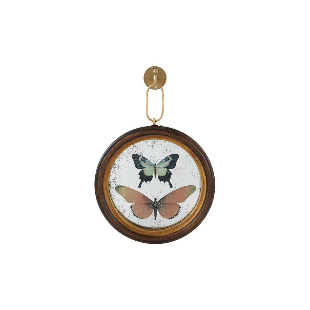 Antique Butterfly Study Mirror with Brass Wall Hook