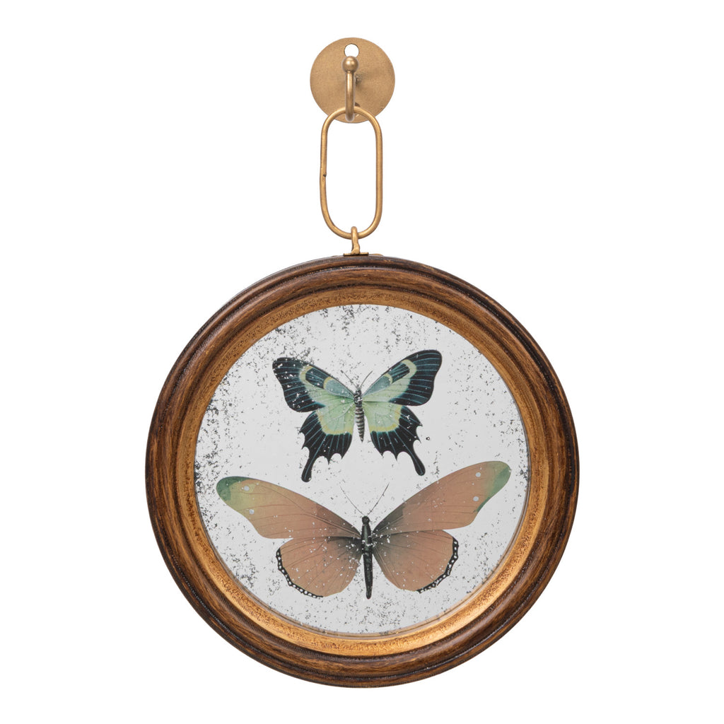 Antique Butterfly Study Mirror with Brass Wall Hook