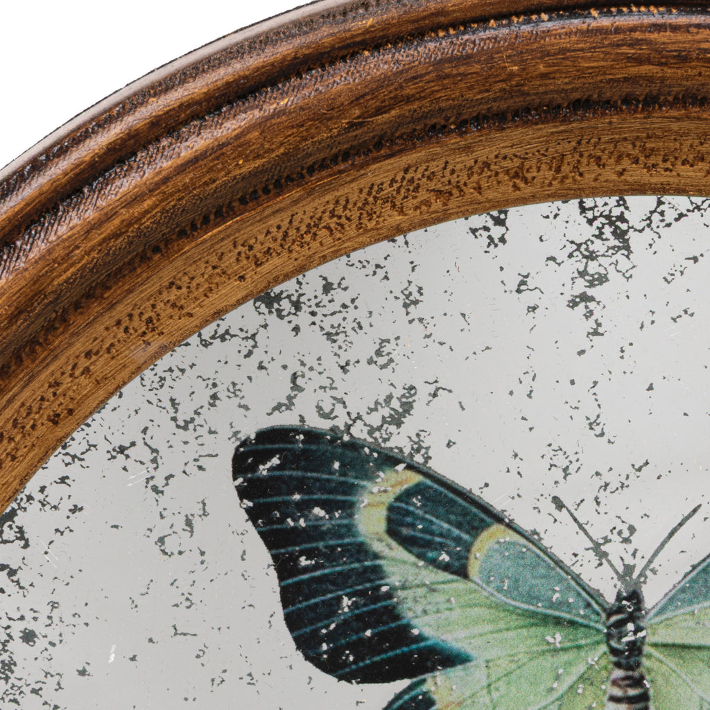 Antique Butterfly Study Mirror with Brass Wall Hook